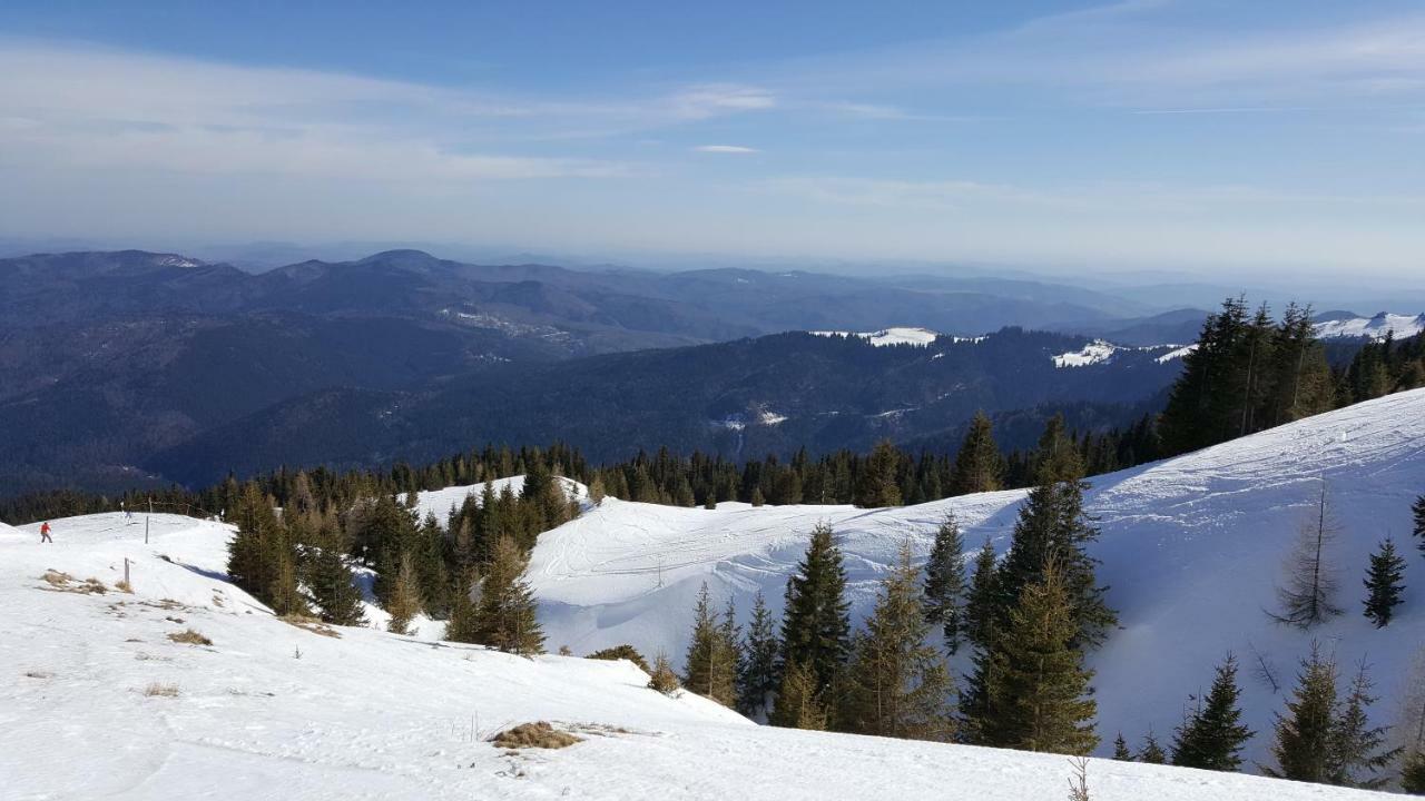 Ripsime Colina Marei Apartment Sinaia